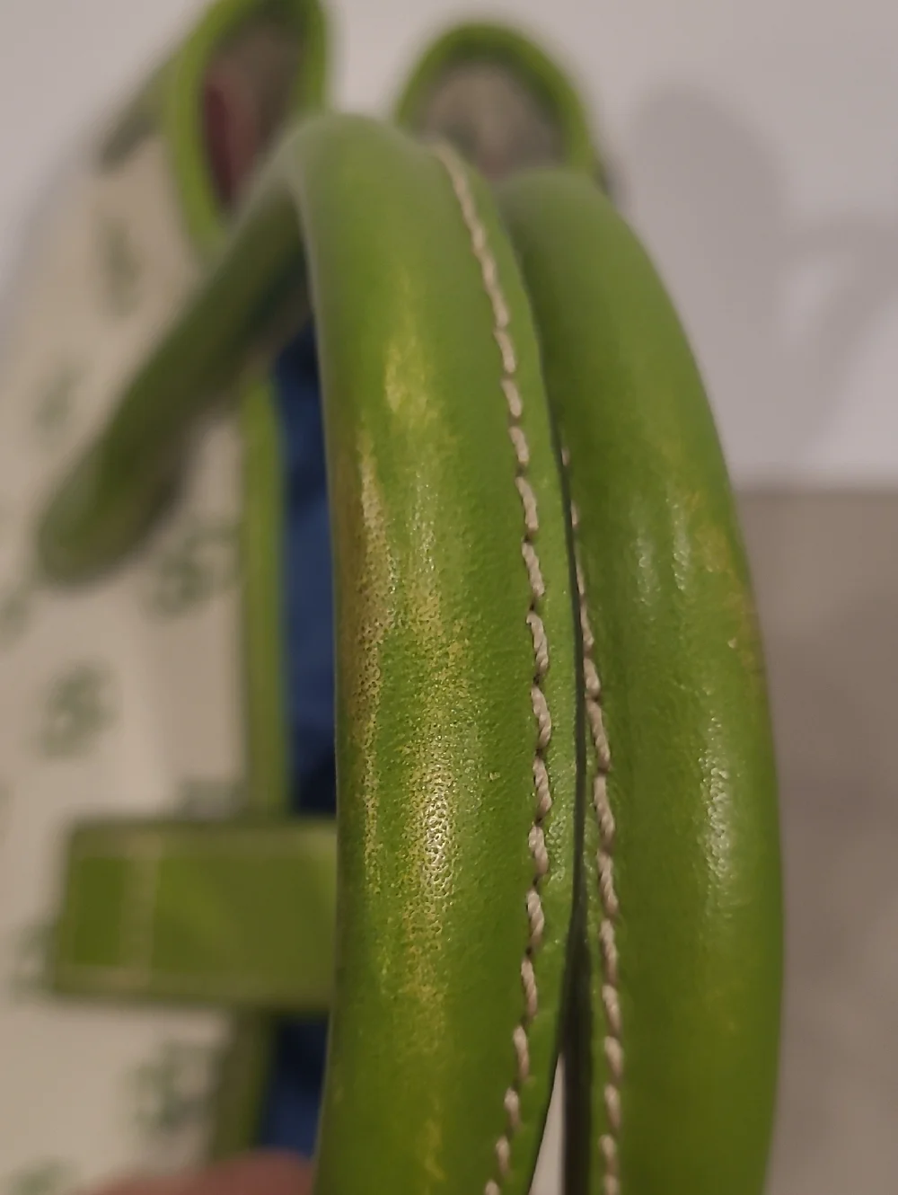 DB Pattern Green Trim Canvas Tote Bag